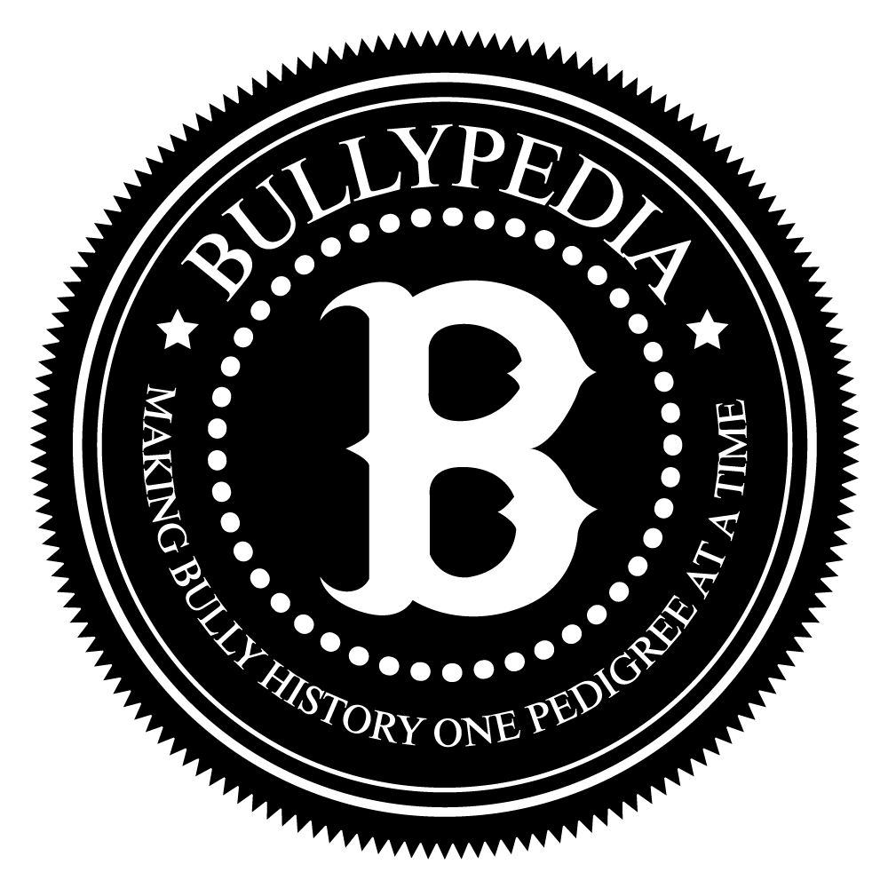 Bullypedia Logo